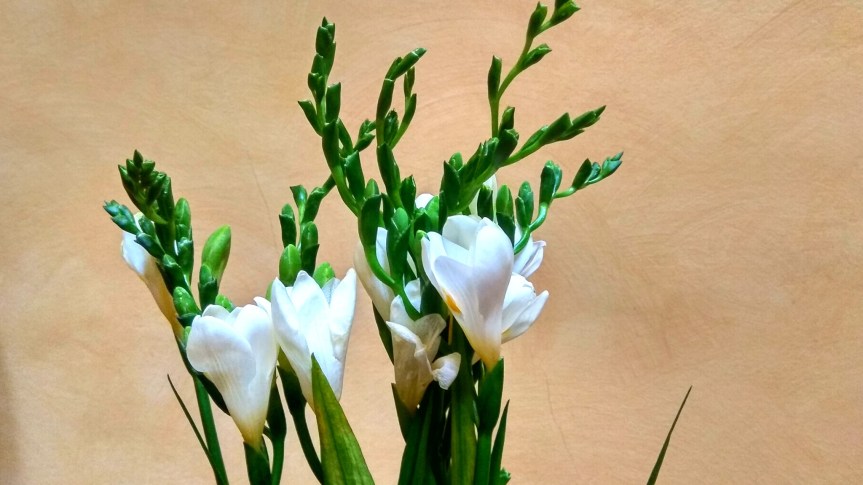 Cosas de San&nbsp;Valentín