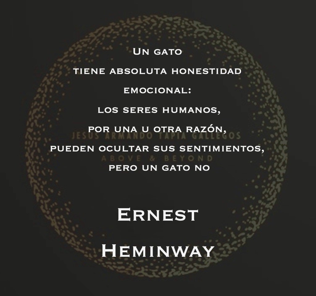 Un gato tiene absoluta honestidad emocional: los seres humanos, por una u otra razón, pueden ocultar sus sentimientos, pero un gato no - Ernest Heminway